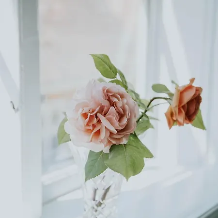 Arnfeldt Ærøskøbing