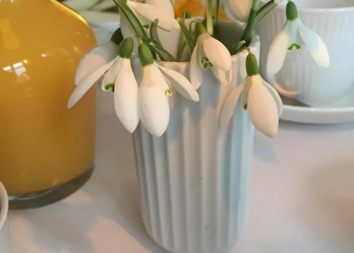 Arnfeldt Szálloda *